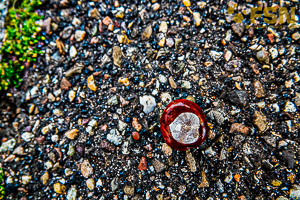 Vorschau von DSC00573.jpg