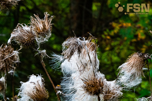 Vorschau von DSC00593.jpg