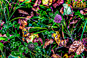 Vorschau von DSC00603.jpg