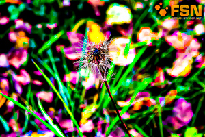 Vorschau von DSC00608.jpg