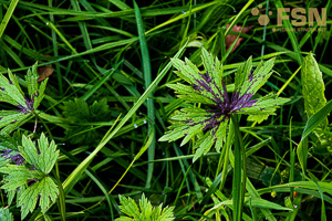 Vorschau von DSC00626.jpg