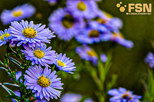 Vorschau von DSC00677.jpg