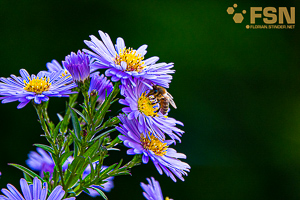 Vorschau von DSC00682-2.jpg