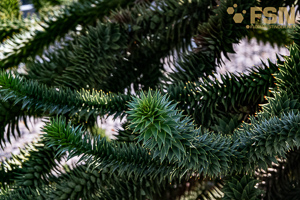 Vorschau von DSC00694.jpg