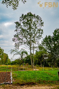 Vorschau von DSC00740.jpg