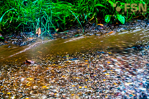 Vorschau von DSC00752.jpg