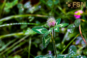 Vorschau von DSC00771.jpg