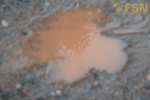 Vorschau von DSC00783.jpg