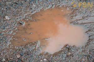 Vorschau von DSC00785.jpg