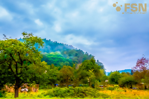 Vorschau von DSC00801.jpg