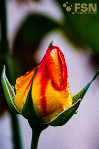 Vorschau von DSC00809.jpg