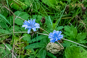 Vorschau von _DSC0947-HDR.jpg