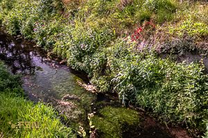 Vorschau von _DSC0966.jpg