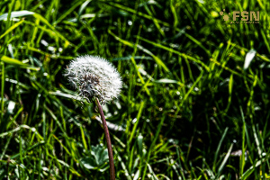 Vorschau von _DSC1006.jpg