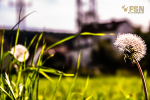 Vorschau von _DSC1013.jpg