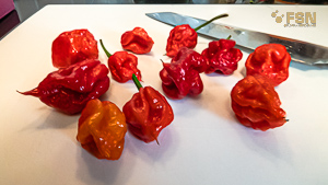 Vorschau von _DSC1044.jpg