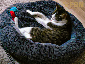 Vorschau von 2017-09-24-19-22-35.jpg