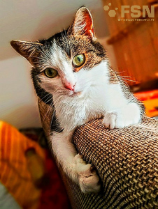 Vorschau von 94939347_large.jpg