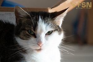 Vorschau von DSC00564.jpg