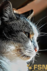 Vorschau von DSC00570-1.jpg