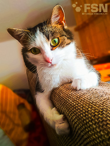 Vorschau von IMG_20200526_124000~2-1.jpg