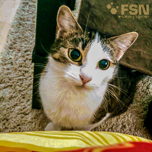 Vorschau von rps20180627_194934.jpg