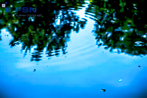 Vorschau von IMG_8036.jpg