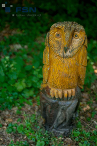 Vorschau von IMG_8055.jpg