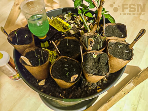 Vorschau von IMG_20190227_185039.jpg