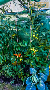 Vorschau von IMG_20190710_192155~2.jpg