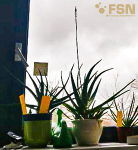 Vorschau von IMG_20210217_135803.jpg