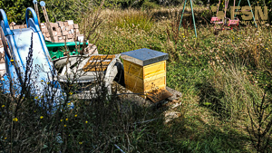 Vorschau von IMG_20200919_115646.jpg