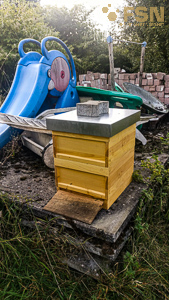 Vorschau von IMG_20200920_183327~2.jpg