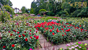 Vorschau von IMG_20190616_152109.jpg