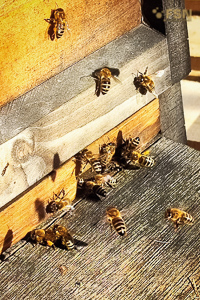 Vorschau von IMG_20220223_173539_795.jpg