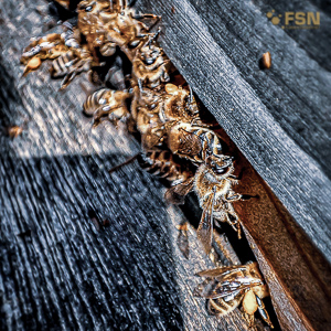 Vorschau von IMG_20220411_152031_708.jpg