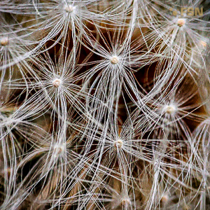 Vorschau von IMG_20220501_102512_081.jpg