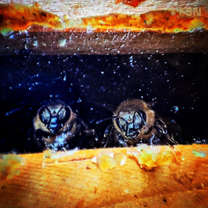 Vorschau von IMG_20220614_190335_657.jpg