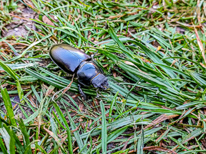 Vorschau von IMG_20220615_092831.jpg