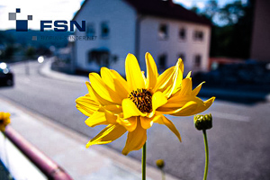 Vorschau von IMG_1646wtmk.jpg