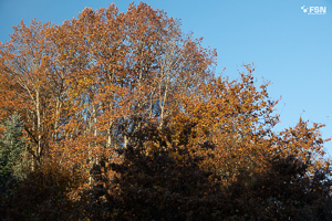 Vorschau von _DSC1870.jpg