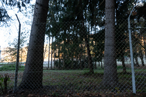 Vorschau von _DSC1895.jpg