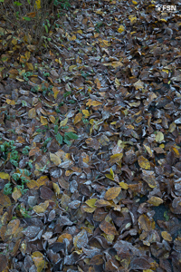 Vorschau von _DSC1902.jpg