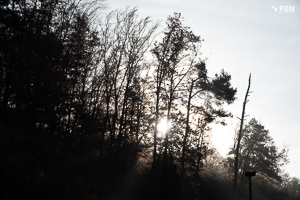 Vorschau von _DSC1907.jpg