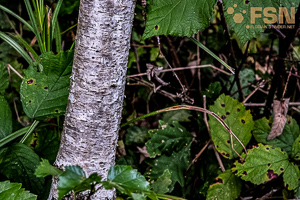 Vorschau von DSC00580.jpg