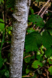 Vorschau von DSC00581.jpg