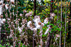 Vorschau von DSC00588.jpg