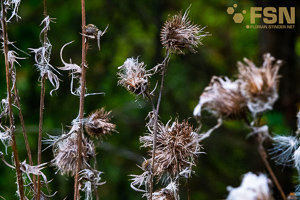 Vorschau von DSC00595.jpg