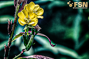 Vorschau von DSC00598.jpg