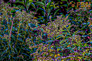 Vorschau von DSC00602.jpg